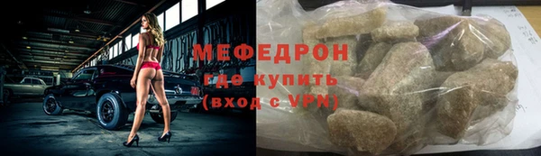сатива Новозыбков