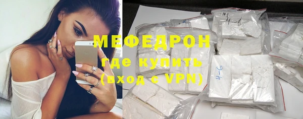 сатива Новозыбков