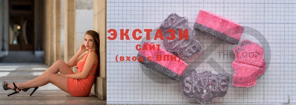 сатива Новозыбков