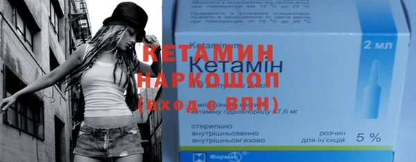 сатива Новозыбков