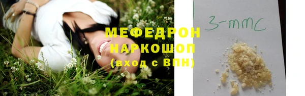 сатива Новозыбков