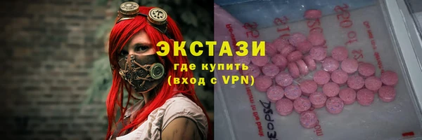сатива Новозыбков