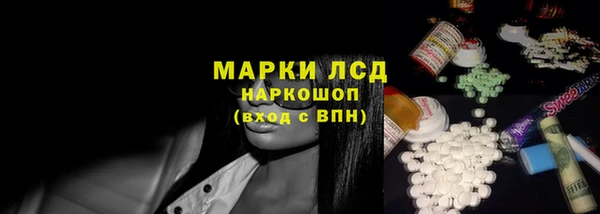 сатива Новозыбков