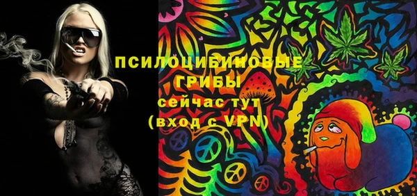 сатива Новозыбков