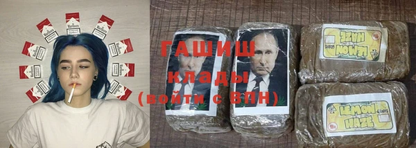 сатива Новозыбков