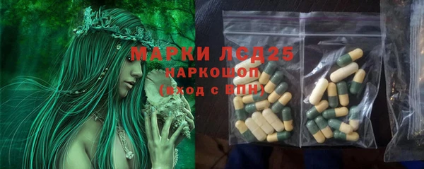 сатива Новозыбков