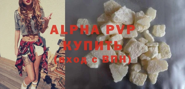 сатива Новозыбков