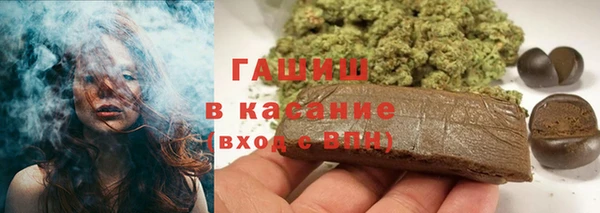 сатива Новозыбков